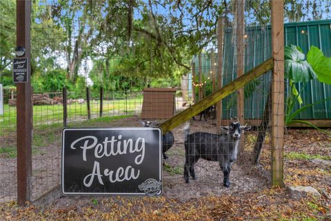 Tiny photo for 889 SW 165th Street, Ocala, FL 34473 (MLS # OM700260)