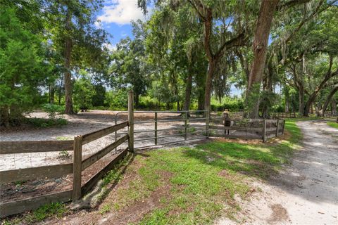 Tiny photo for 889 SW 165th Street, Ocala, FL 34473 (MLS # OM700260)