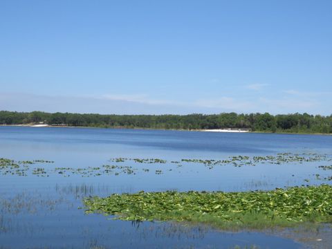 A home in SILVER SPRINGS