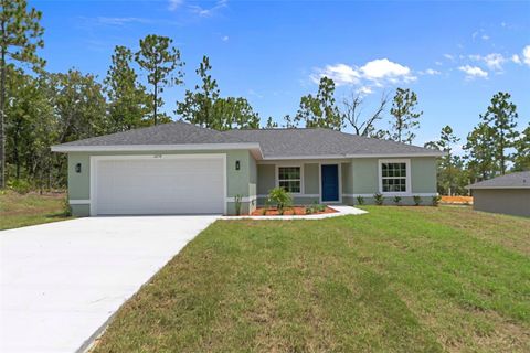 Photo of 6658 N Bedstrow Boulevard, Dunnellon, FL 34434 (MLS # OM704546)