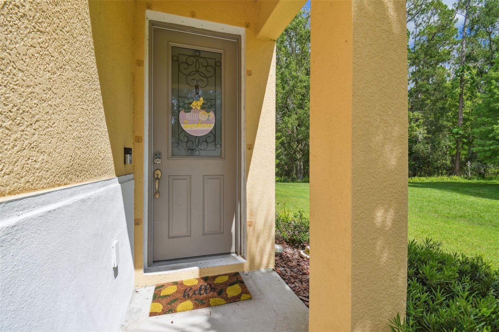 17880 ALTHEA BLUE PLACE