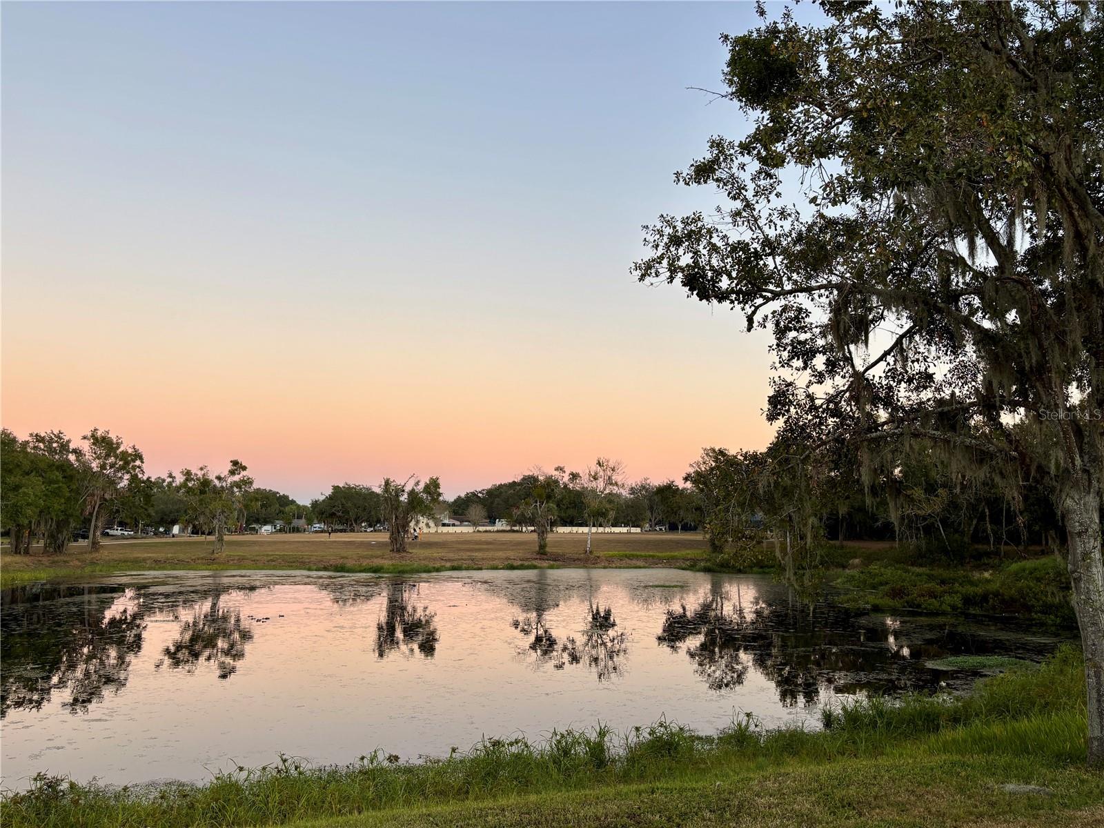 BLOOMINGDALE WEST - Residential