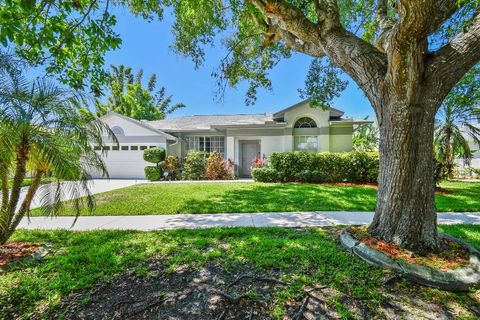 Photo of 915 Brittany Park Boulevard, Tarpon Springs, FL 34689 (MLS # TB8354448)