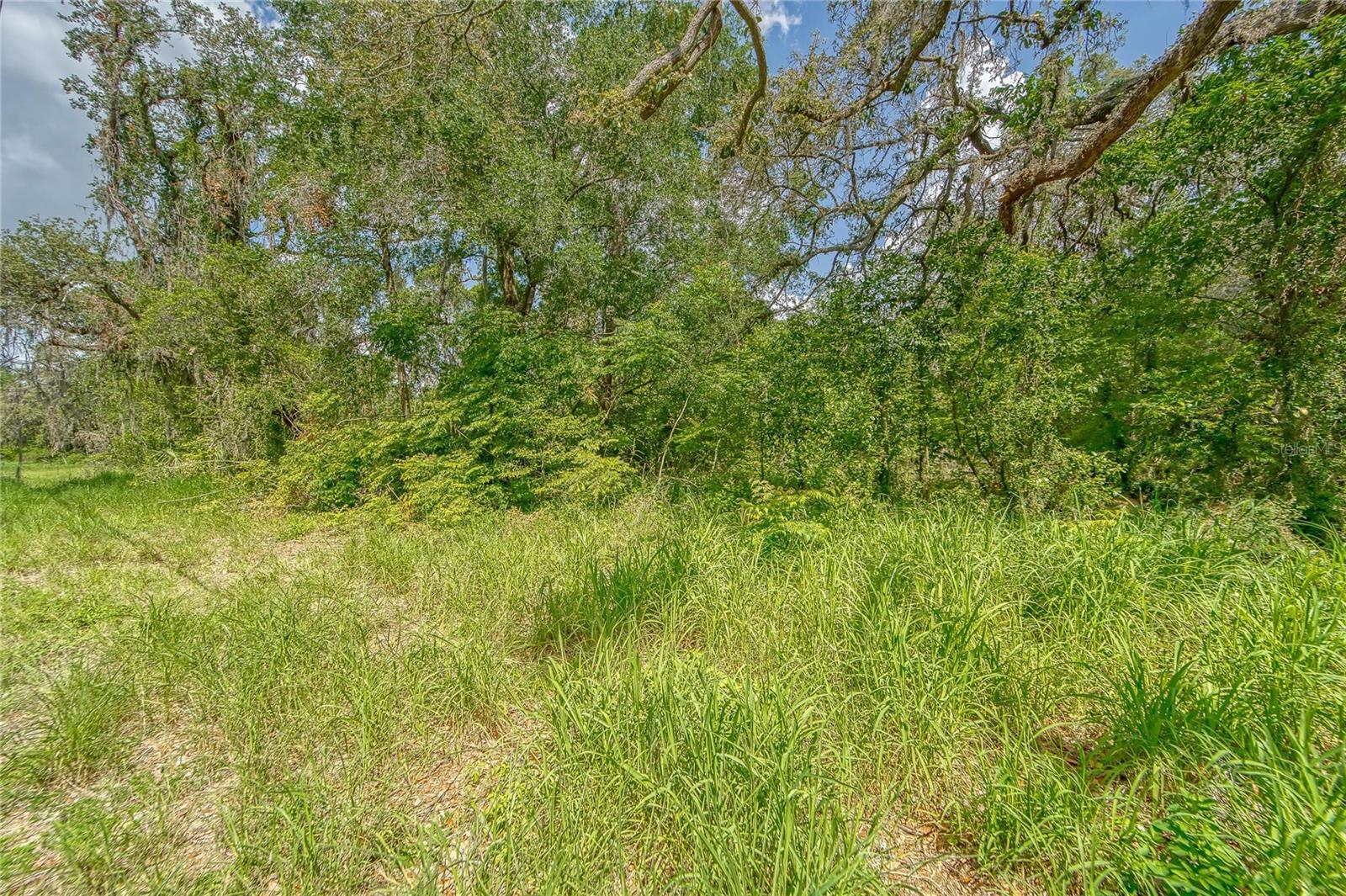 9512 HARNEY ROAD