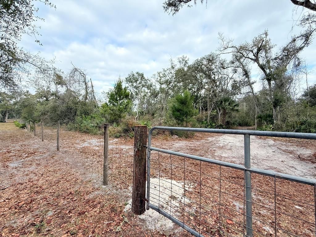 Photo of 445 NE 544th St, Old Town, FL 32680 (MLS # GC538885)