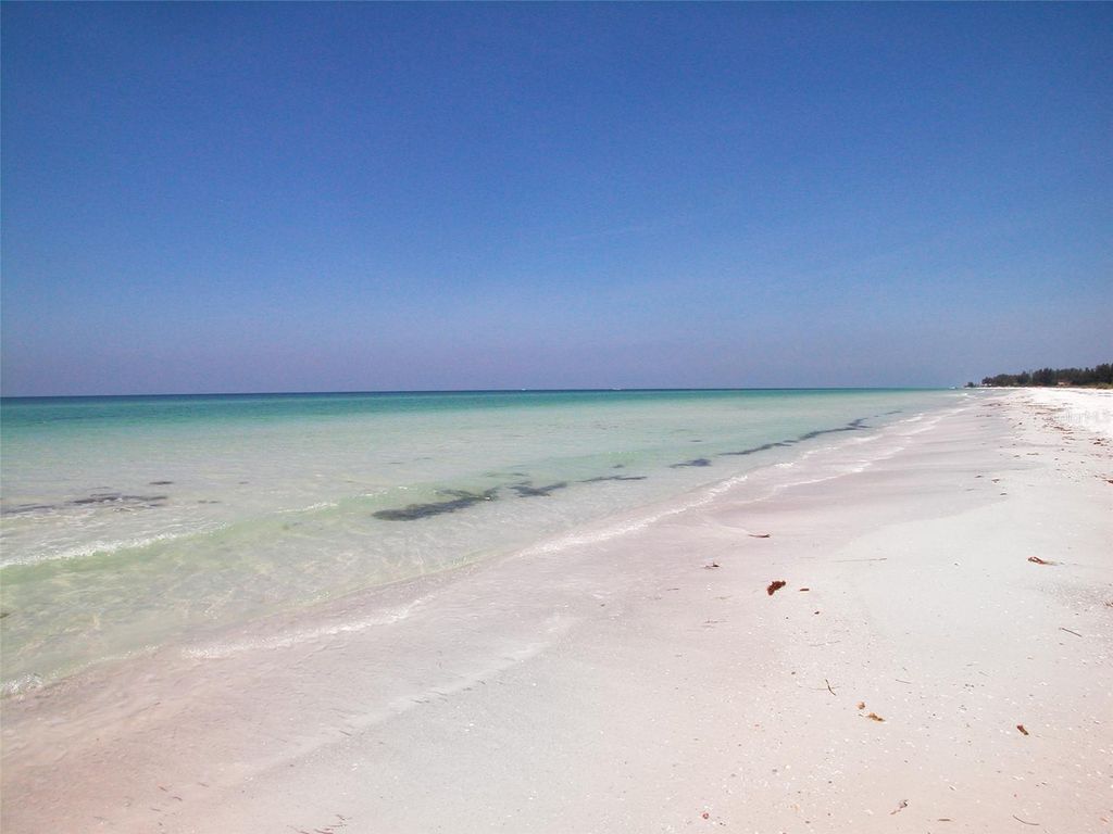 listing image 54