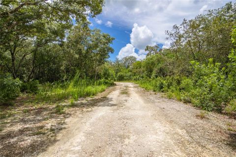 Tiny photo for 6783 N Tamarind Avenue, Hernando, FL 34442 (MLS # OM715587)