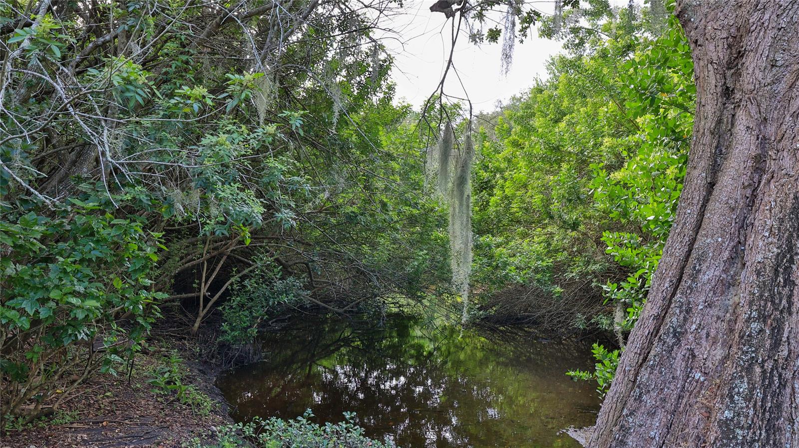 Smyrna West - Residential