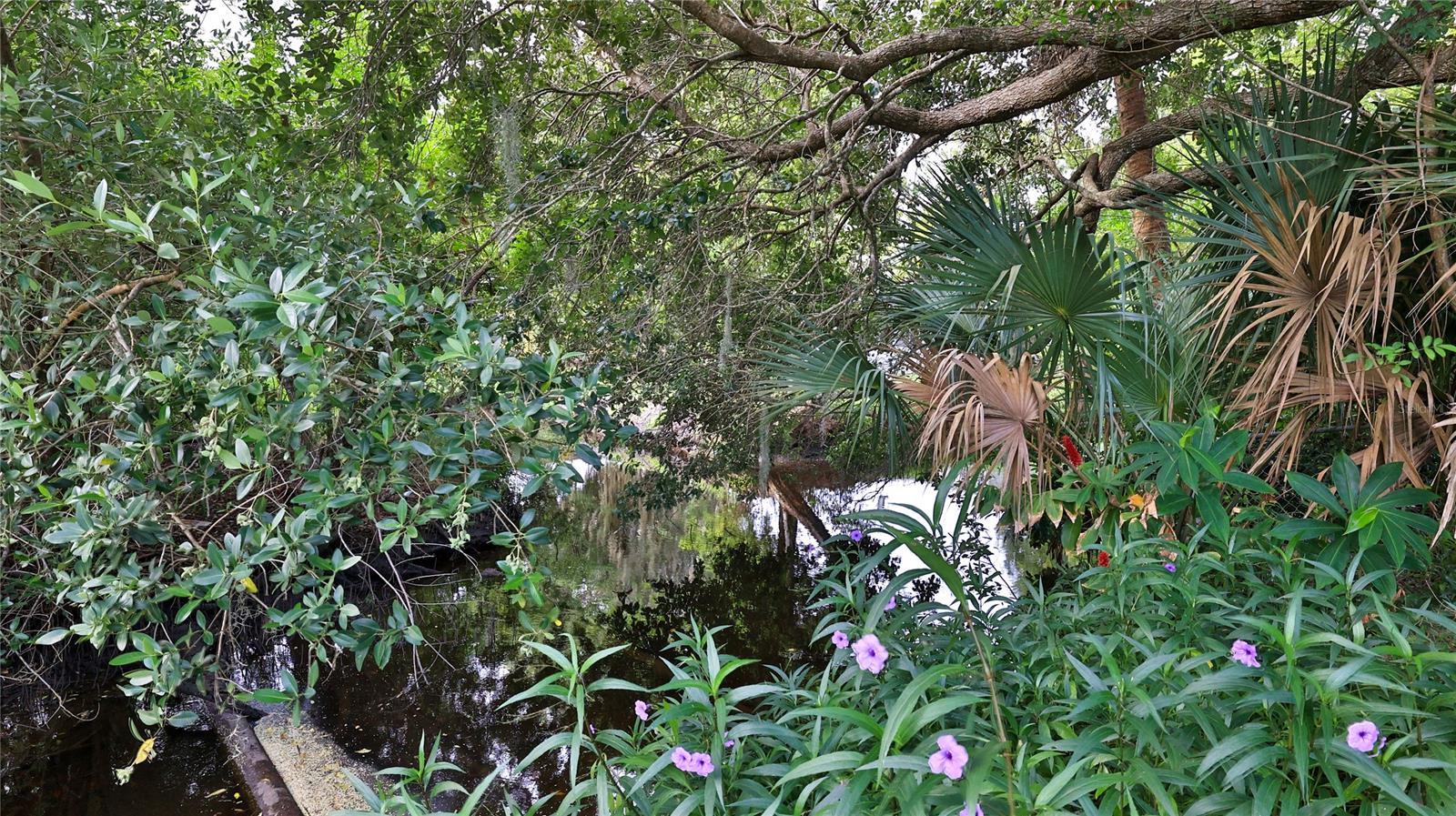 Smyrna West - Residential