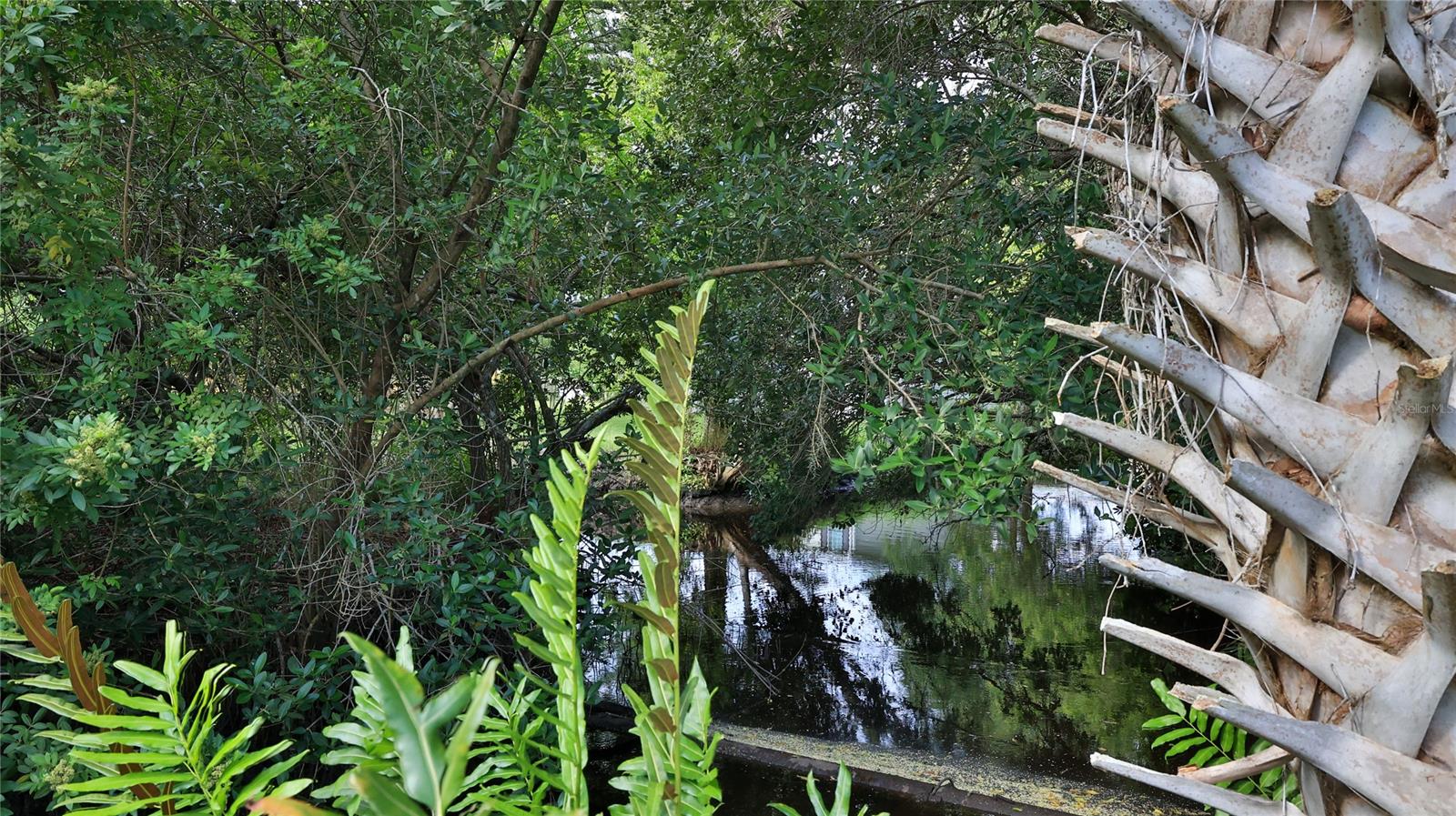 Smyrna West - Residential