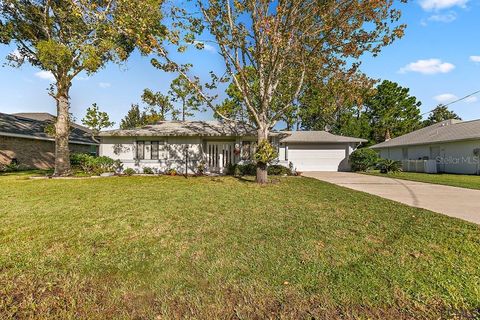 A home in PALM COAST