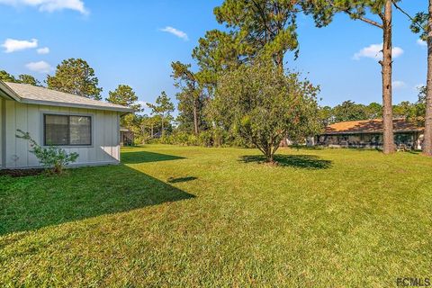 A home in PALM COAST