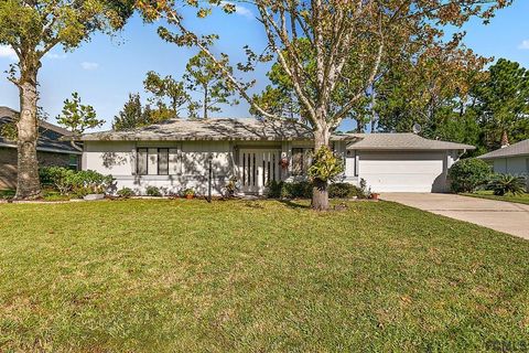 A home in PALM COAST