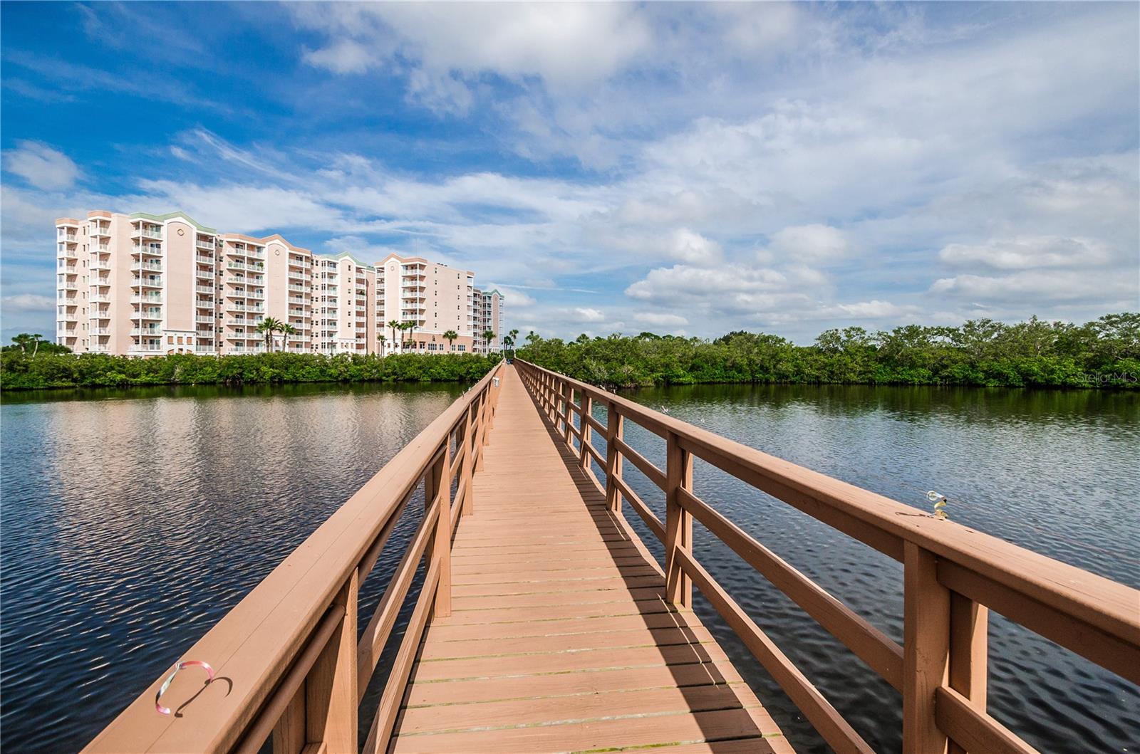 4516 SEAGULL DRIVE 615