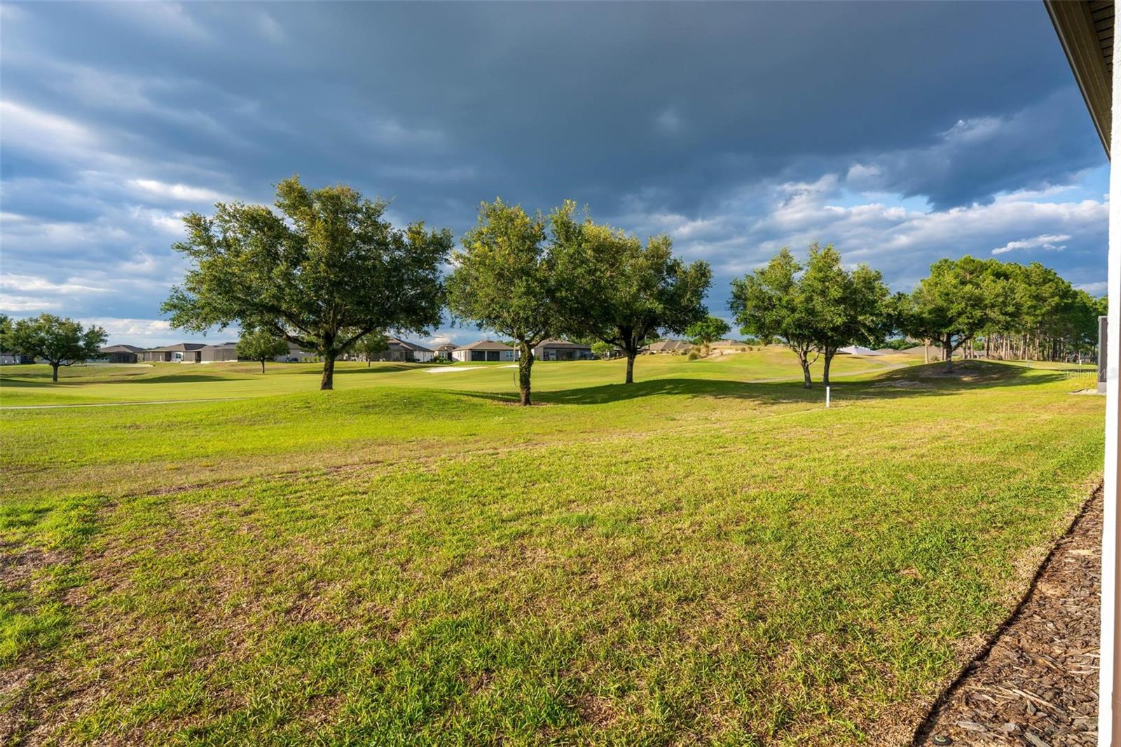 STONE CRK BY DEL WEBB BRIDLEWO - Residential