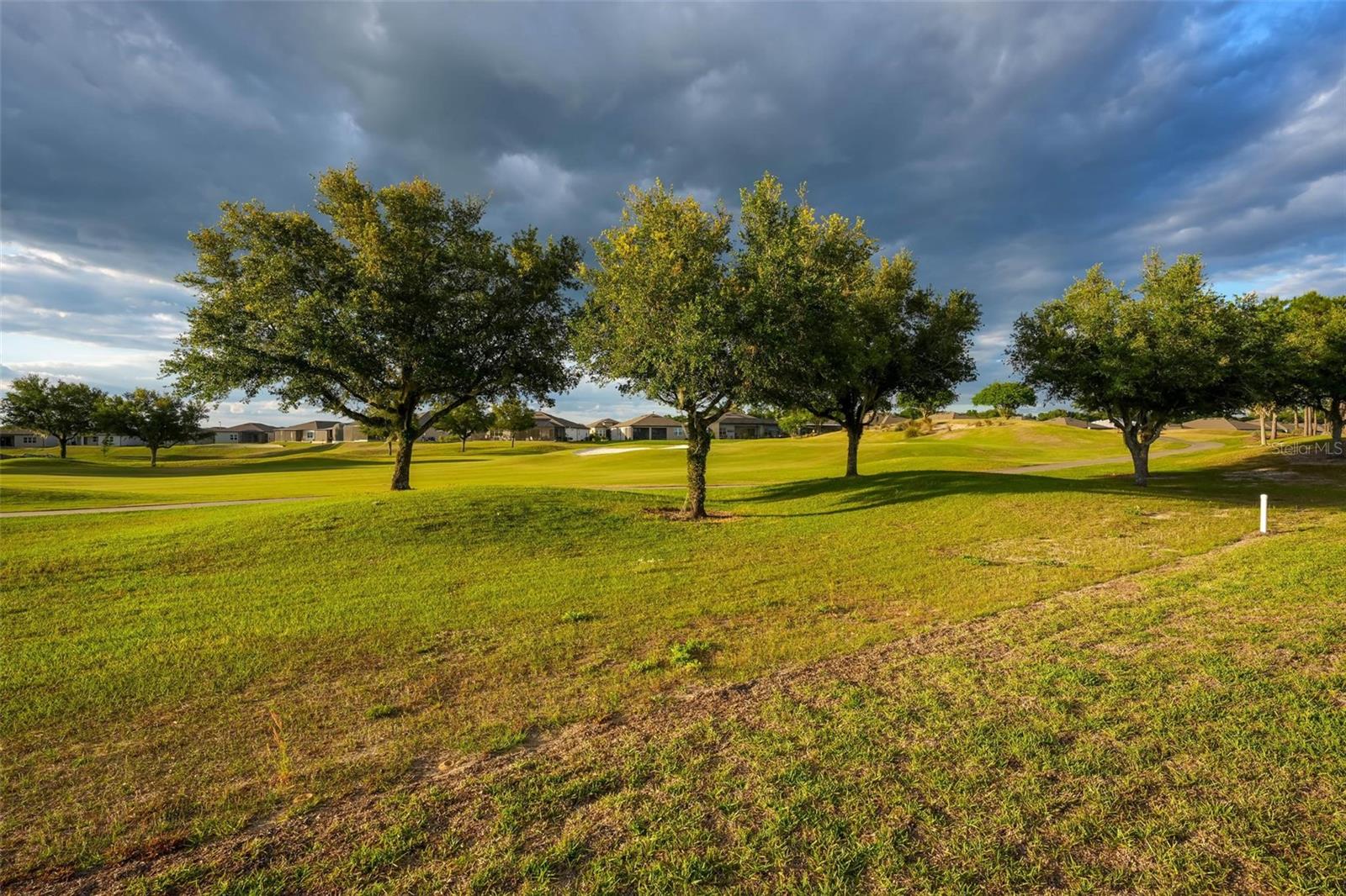 STONE CRK BY DEL WEBB BRIDLEWO - Residential