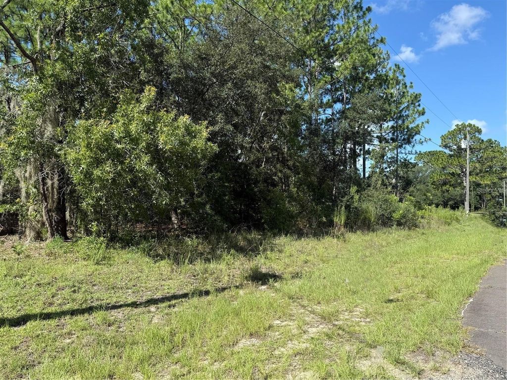 Photo of 2174 W Tacoma Drive, Citrus Springs, FL 34434 (MLS # OM706179)