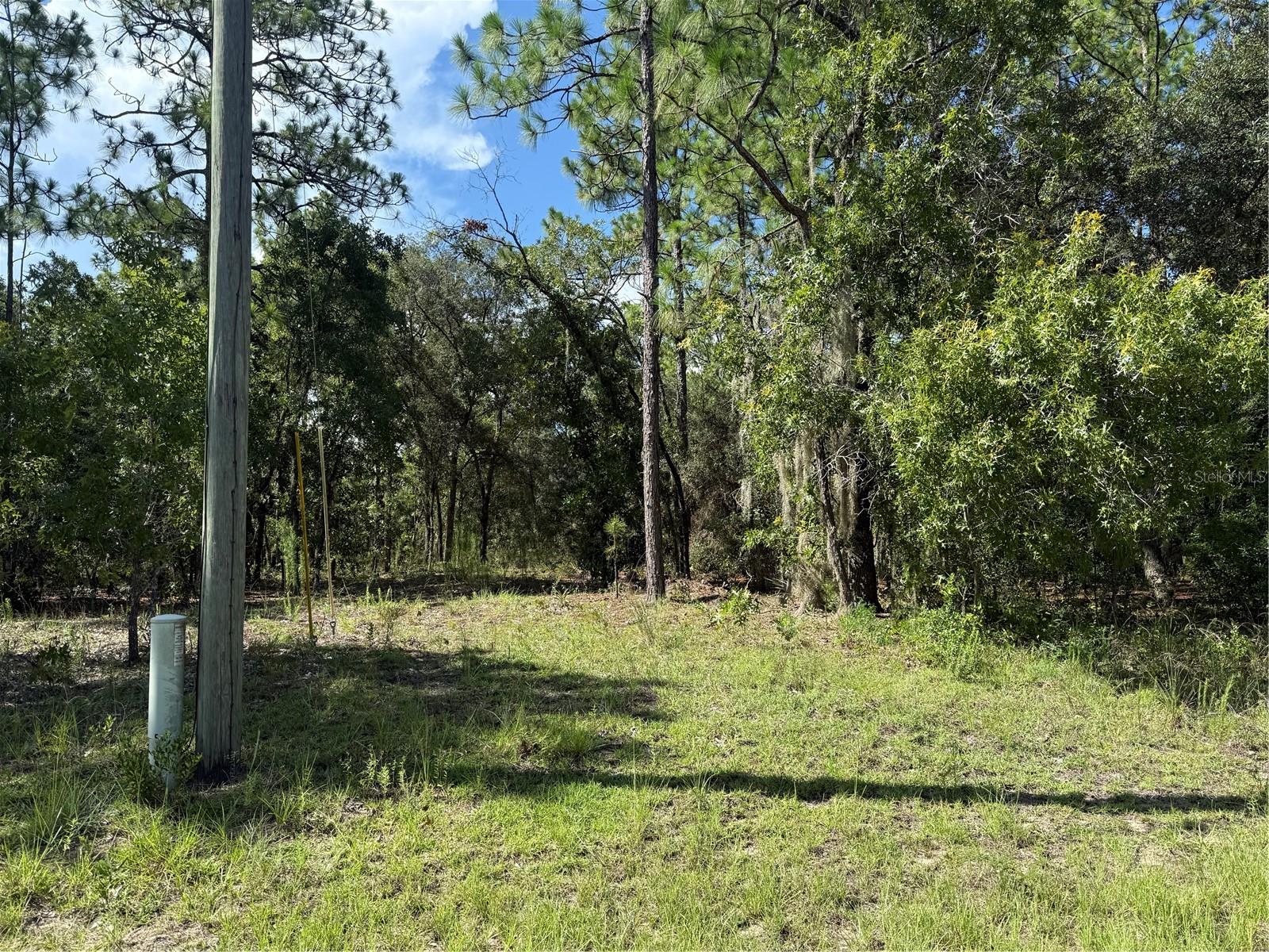 Come build your dream home, in the beautiful, quiet Citrus Springs. 0.28 Acres gives you ample space to build your dream home. This seller has 2 lots for sale side by side. Acreage for both is 0.55 acres, if looking for extra space. Make Citrus Springs your new home.
