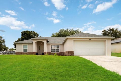 630 PARK VALLEY CIRCLE MINNEOLA FL 34715