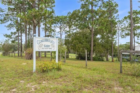 Tiny photo for 13651 SE 73rd Lane, Morriston, FL 32668 (MLS # OM709439)