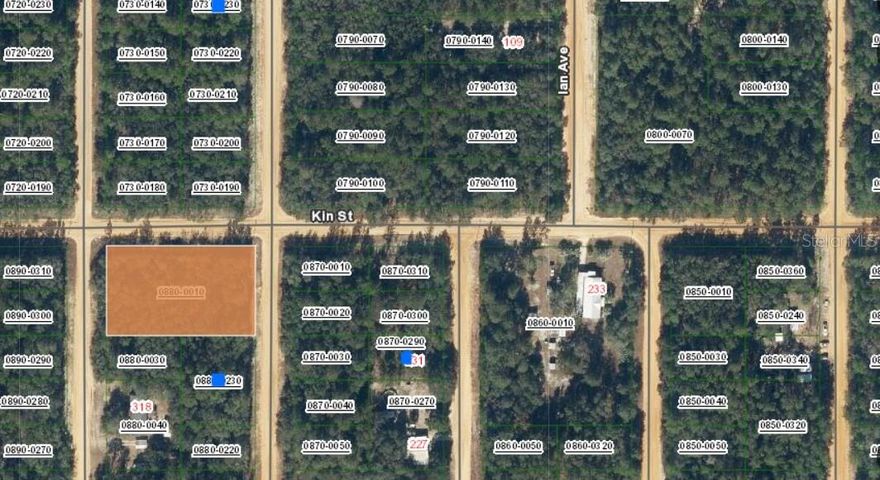 .86 acre lot located in the growing community of Interlachen Lakes Estates. Located minutes away from shopping, medical facilities, schools and other areas of interest. Price is firm. Parcel can be subdivided. **** Owner Financing Is Available ****