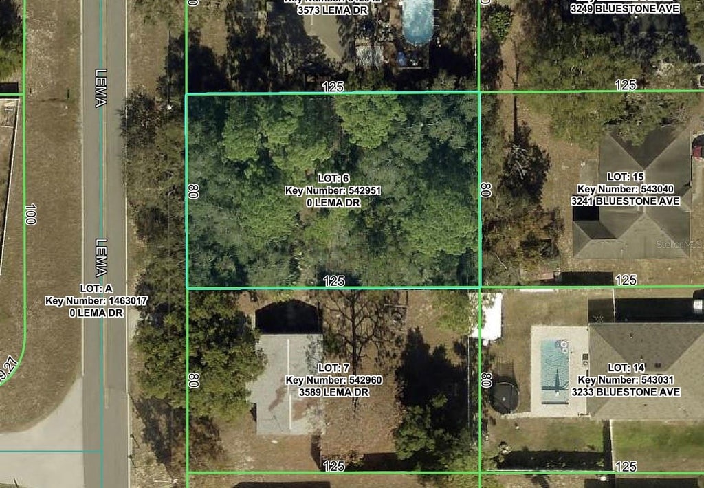 Photo of 3581 Lema Drive, Spring Hill, FL 34609 (MLS # W7890359)
