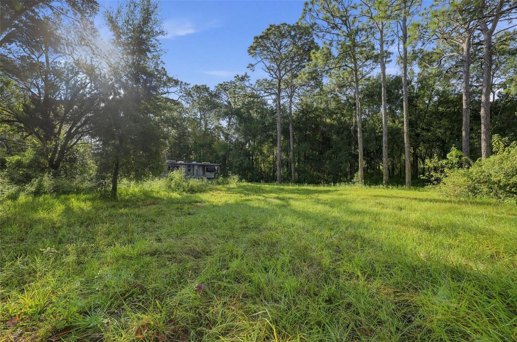Photo of 18322 Havenwoods Road, Spring Hill, FL 34610 (MLS # TB8556624)