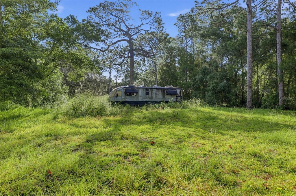 Photo of 18322 Havenwoods Road, Spring Hill, FL 34610 (MLS # TB8556624)