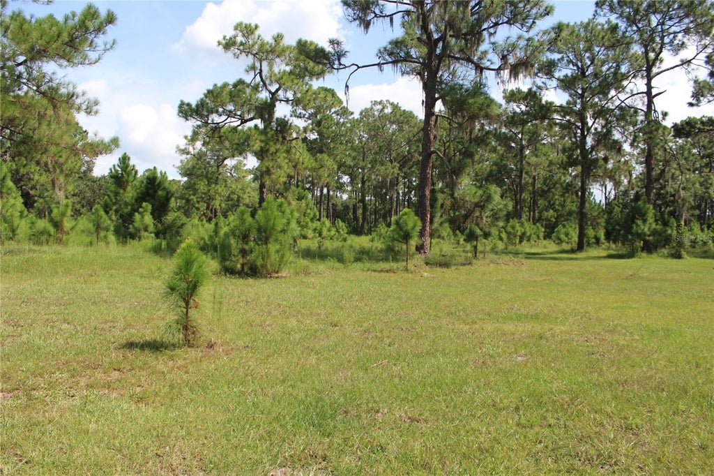 Photo of 0 Us Highway 98 W, Frostproof, FL 33843 (MLS # TB8548891)
