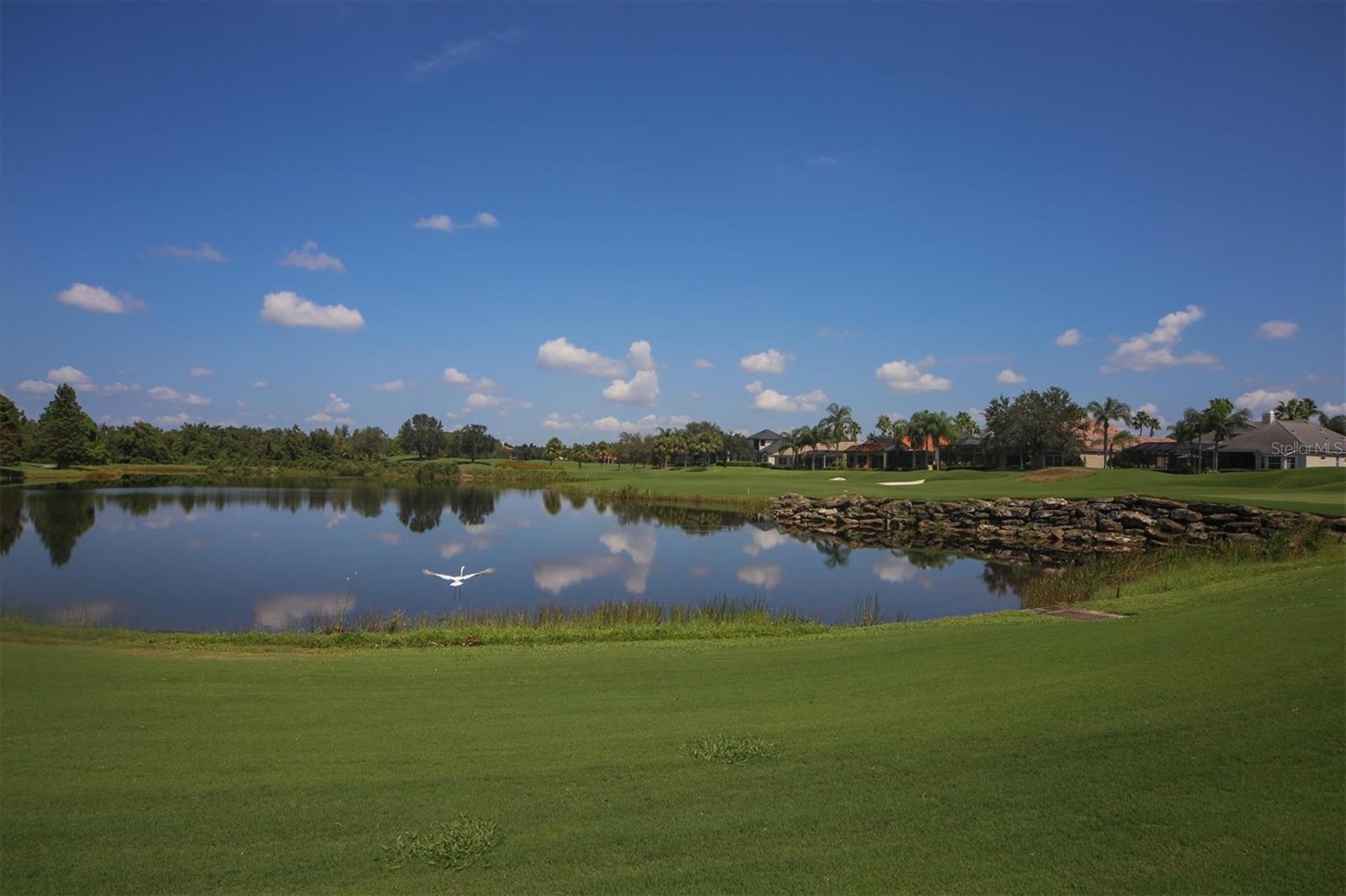 LAKEWOOD RANCH COUNTRY CLUB - Residential