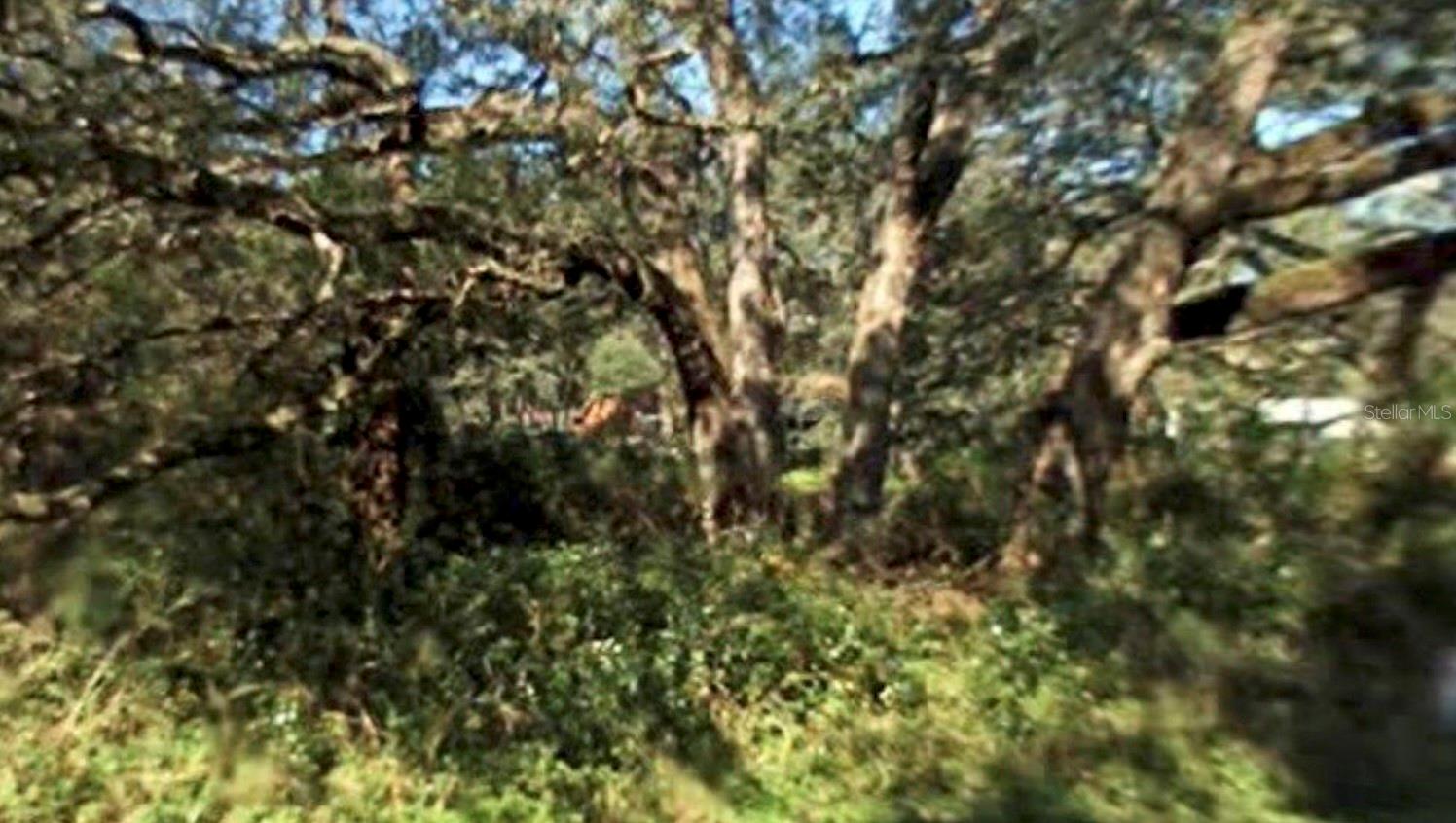 Location Location. If you are at familiar with the Pasco Hernando area you can see the growth coming . These three lots are located less then 1 mile north of County Line Road and blocks off US 41 . The growth is coming straight up US 41. Don't miss this great opportunity to build with investment potential. Lots are being sold together. Each lot is 8,999 sq ft.