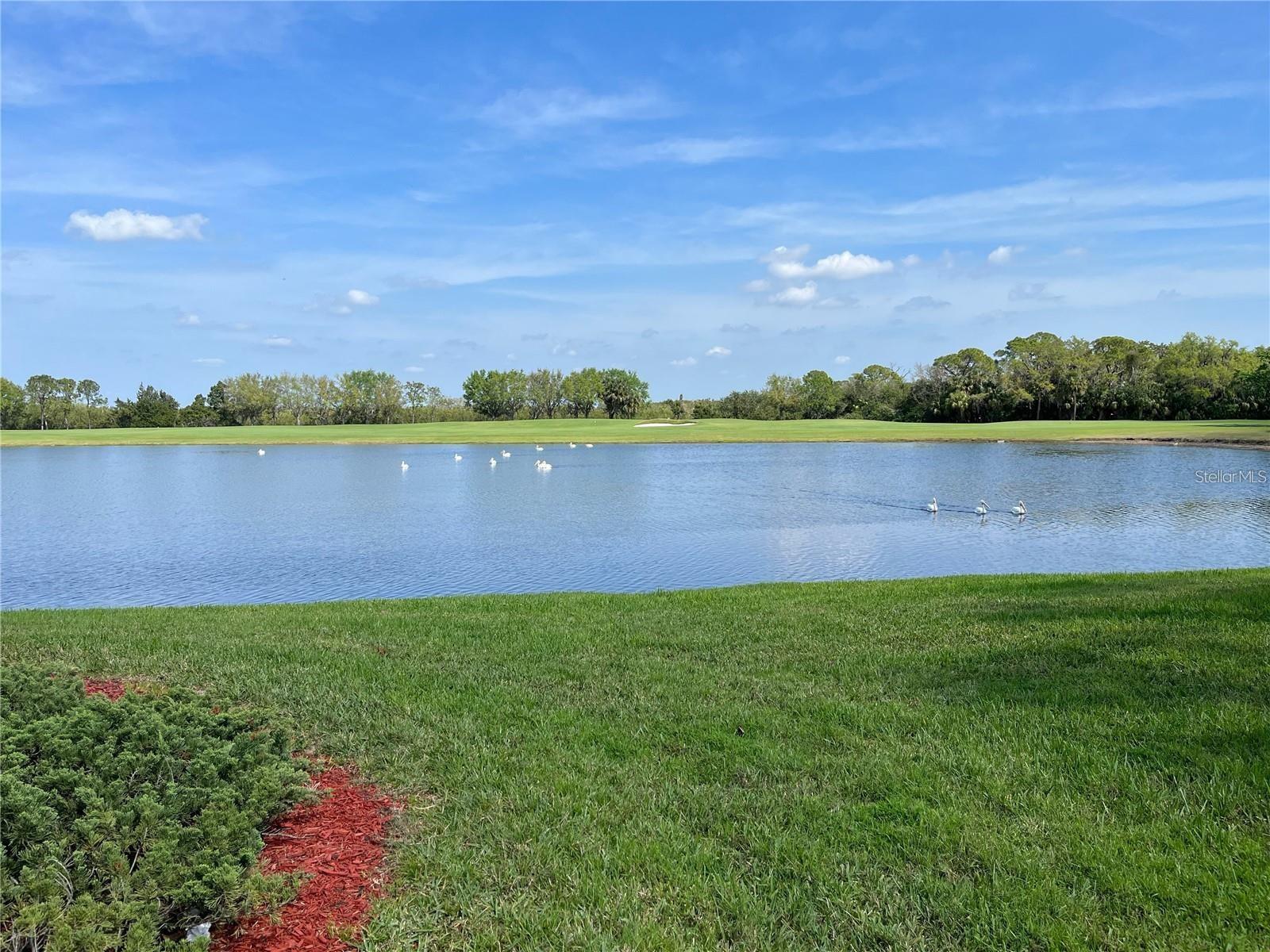 RIVER STRAND - Residential Lease