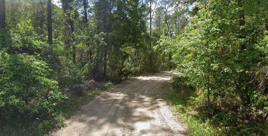 Nearly 5 Acres located just 11 miles from Palatka. Recreational use only, not buildable. Portion of the property are wetlands. Buyer to perform all due diligence regarding land use, zoning, and environmental restrictions. All information provided is deemed reliable but is not guaranteed and should be independently verified.