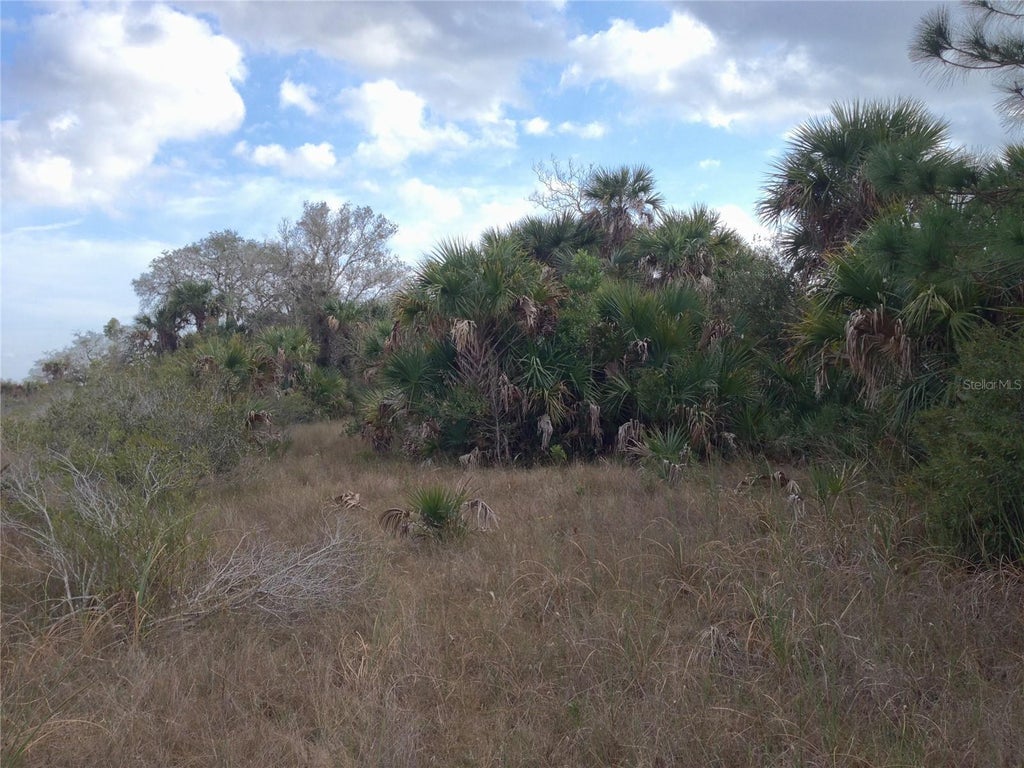 Photo of 50670 Bermont Road, Punta Gorda, FL 33982 (MLS # C7527519)