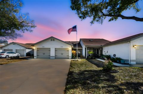 Photo of 8202 Leafy Court, Port Richey, FL 34668 (MLS # TB8471413)