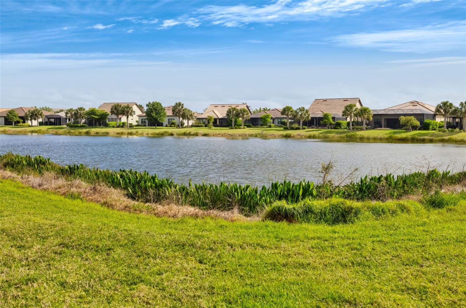 HAMMOCK PRESERVE ON PALMER RANCH - Residential