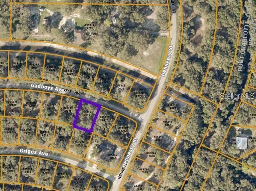 Great location to build your new home in the very fast growing city of North Port. Conveniently located near I-75 which makes for quick and easy travel. 30 minutes from shopping, dining, beaches, golf, and much, much more. Don't miss out on this great opportunity.