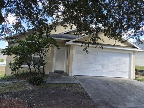 Photo of 1027 Sheeler Hills Drive, Apopka, FL 32703 (MLS # O6320207)