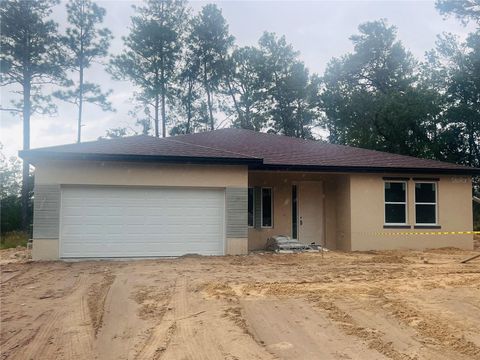 Photo of 5161 SW 165th Place, Ocala, FL 34473 (MLS # S5137904)