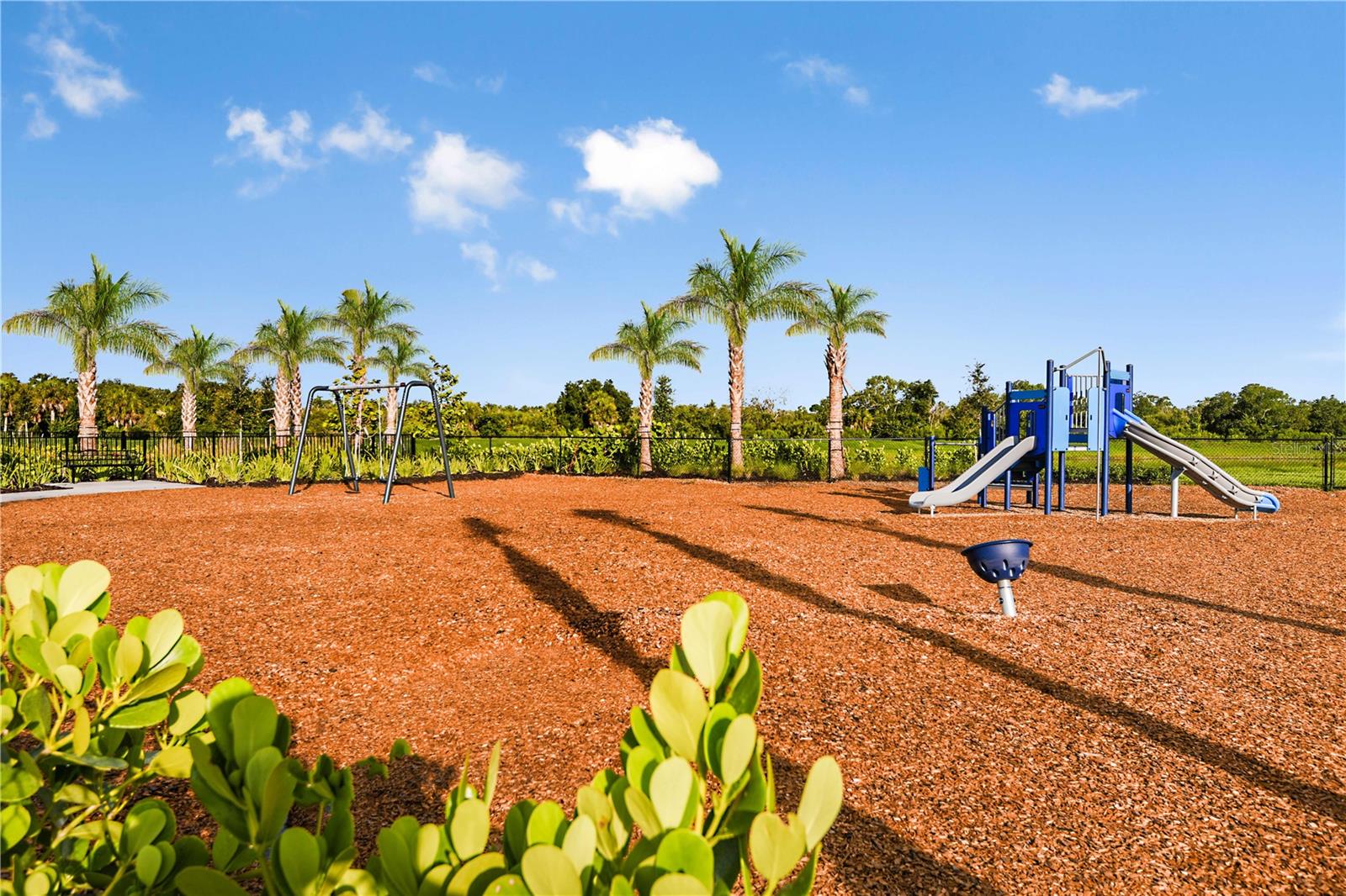 CASSIA AT SKYE RANCH - Residential