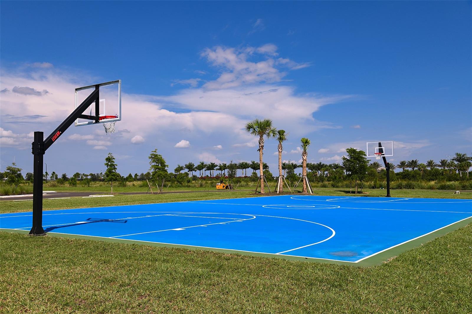 CASSIA AT SKYE RANCH - Residential