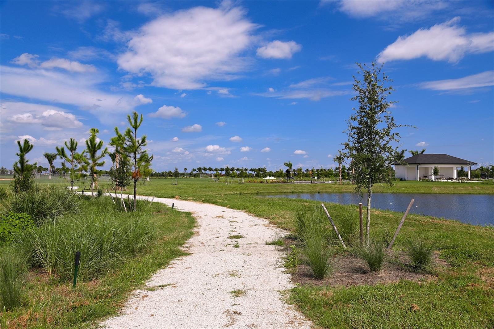 CASSIA AT SKYE RANCH - Residential