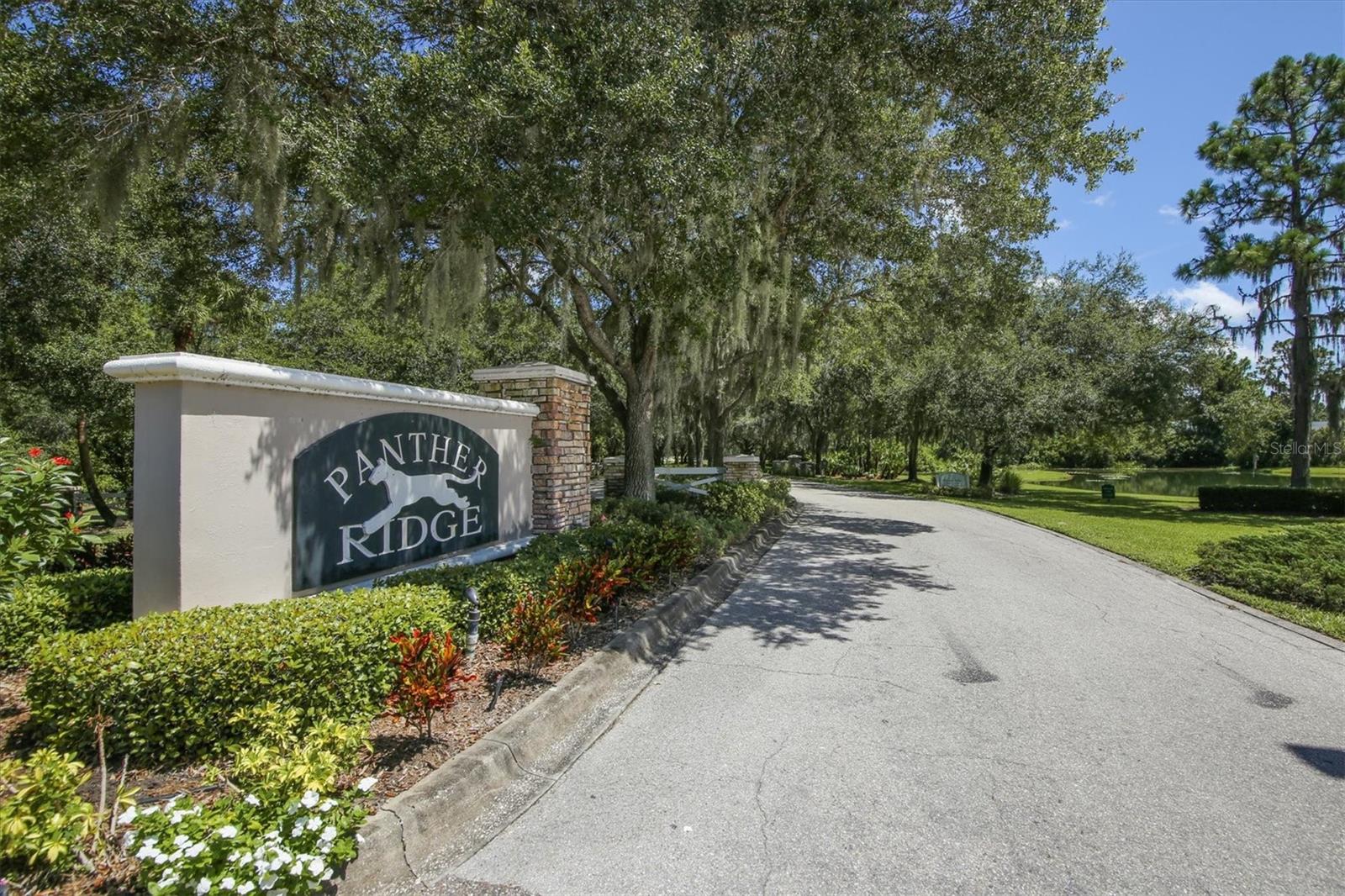 FOXWOOD AT PANTHER RIDGE - Residential