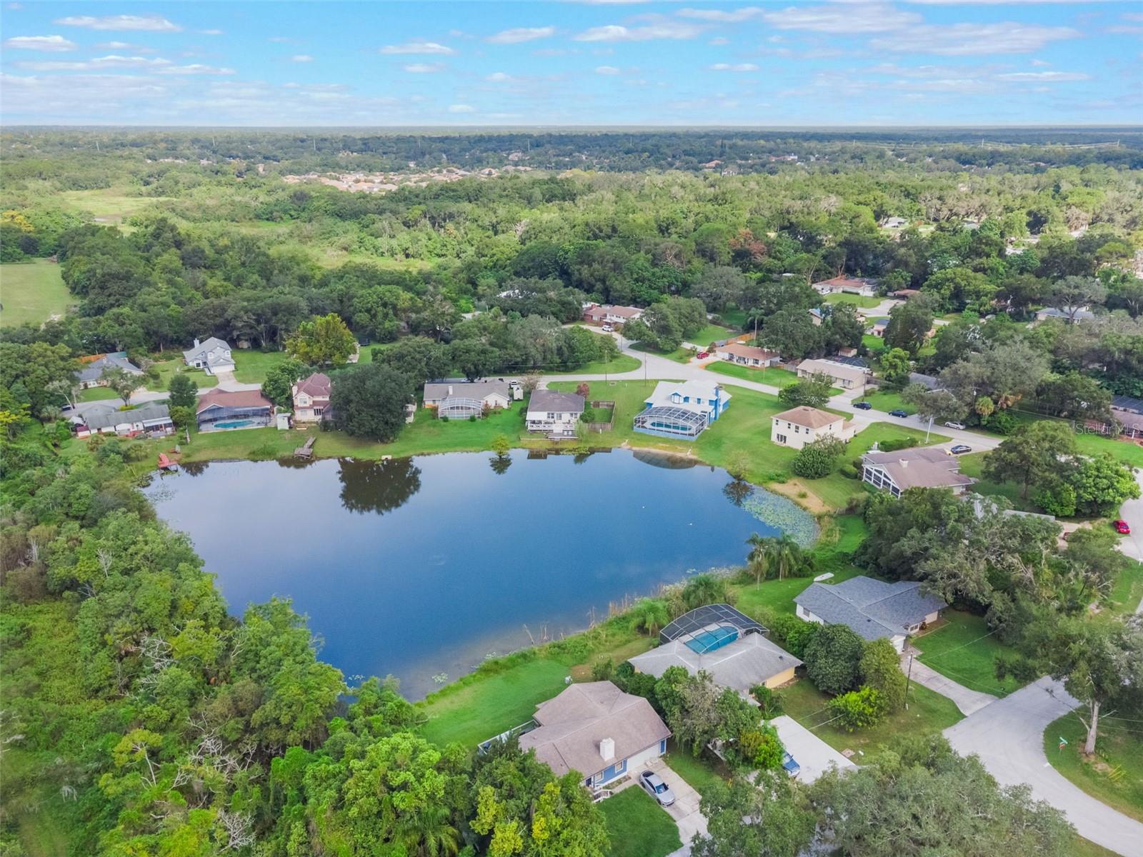 PALM PARK - Residential