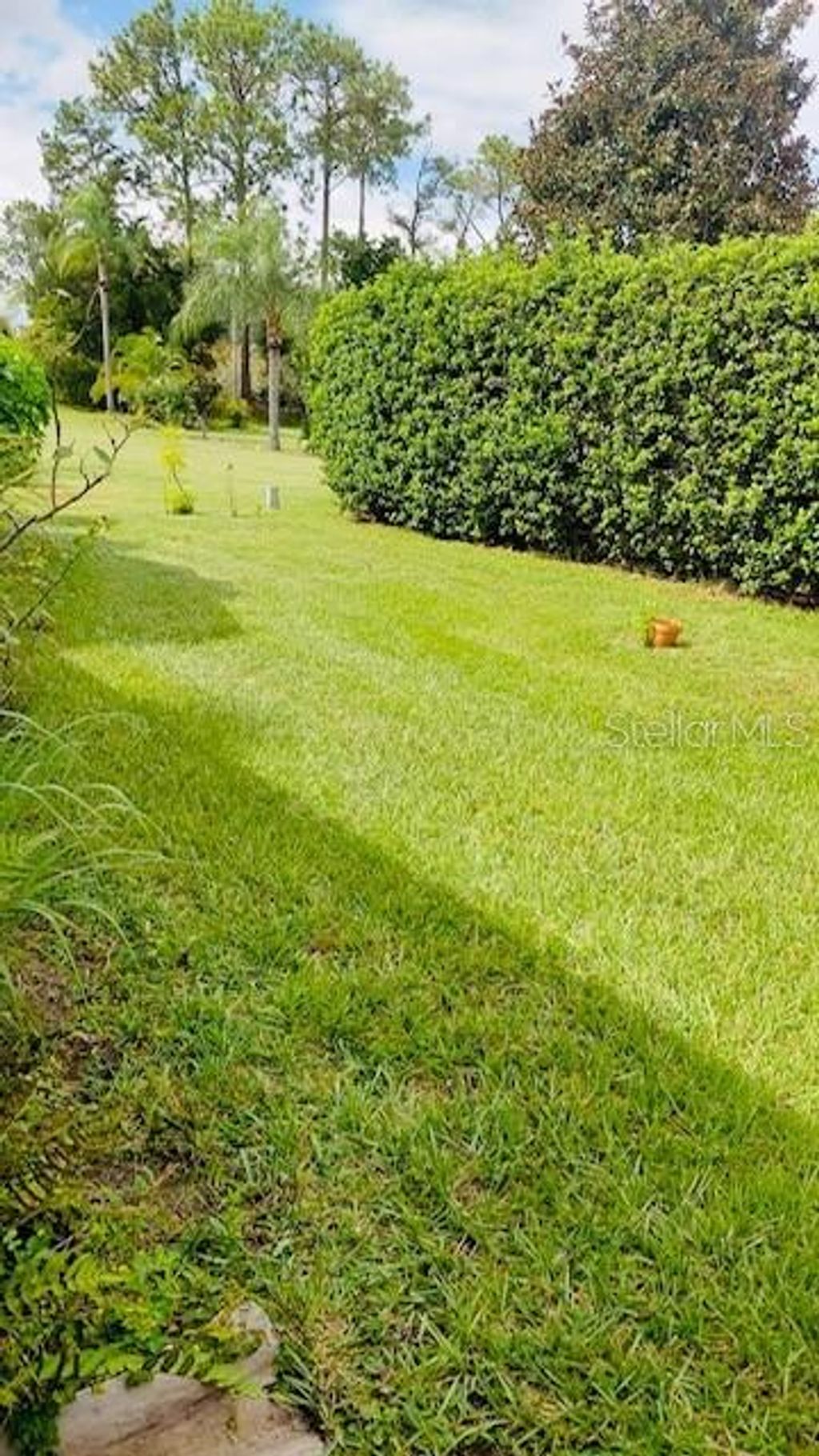 Photo of 5029 Ledgewood Way, Orlando, FL 32821 (MLS # O6375662)