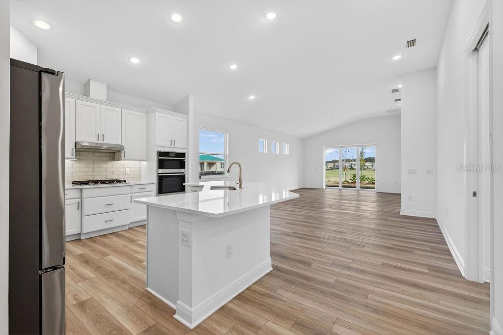 LAKES OF MOUNT DORA - Residential