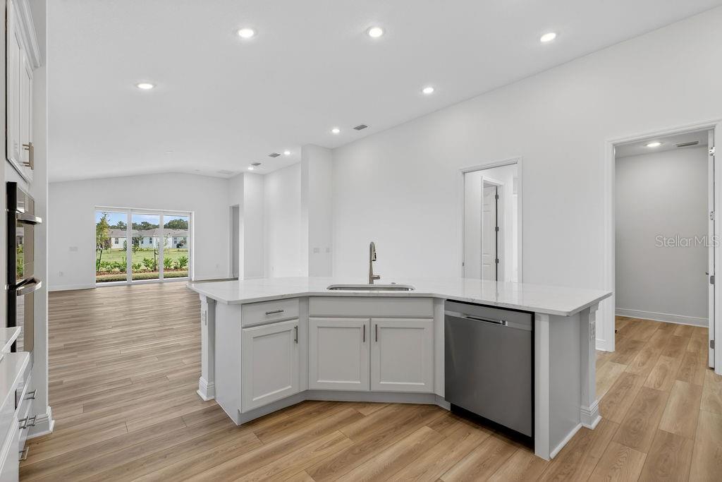 LAKES OF MOUNT DORA - Residential