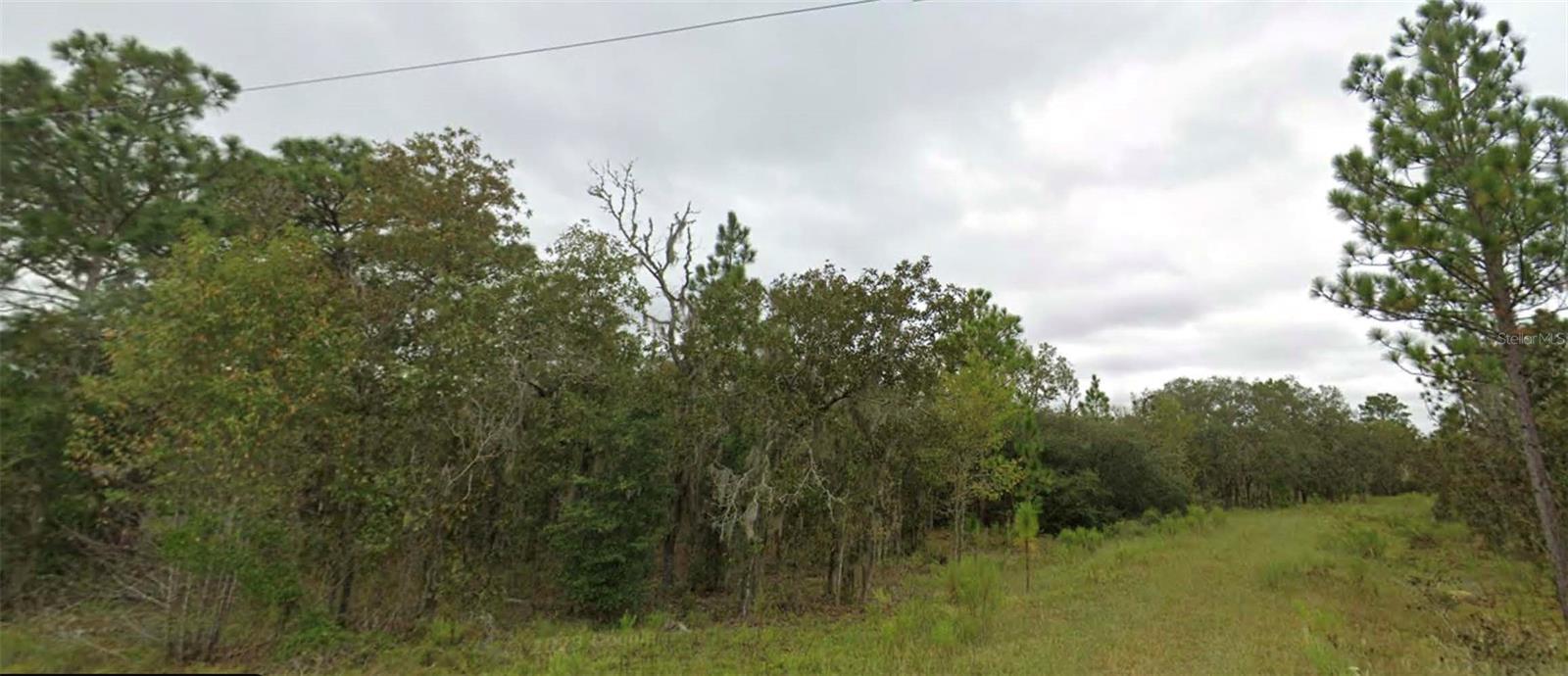 WILLISTON HYLNDS GOLF & C CLUB ESTATE - Land