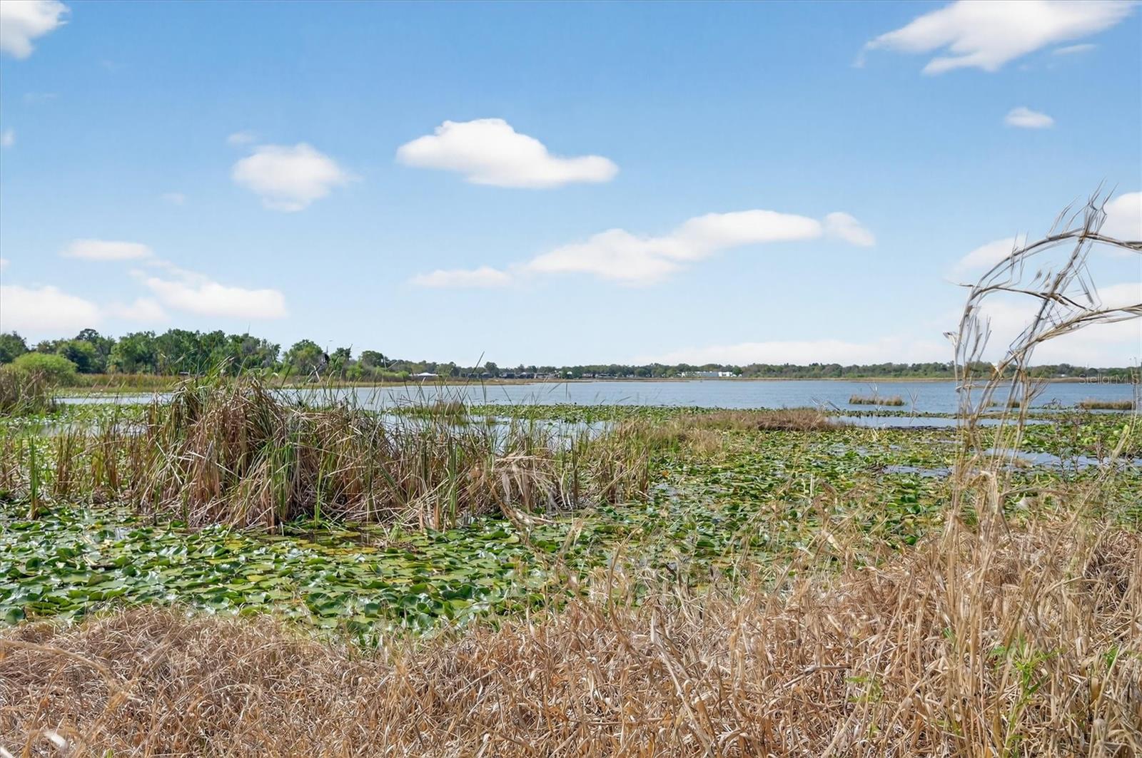 BRATTONS RESUB - Land