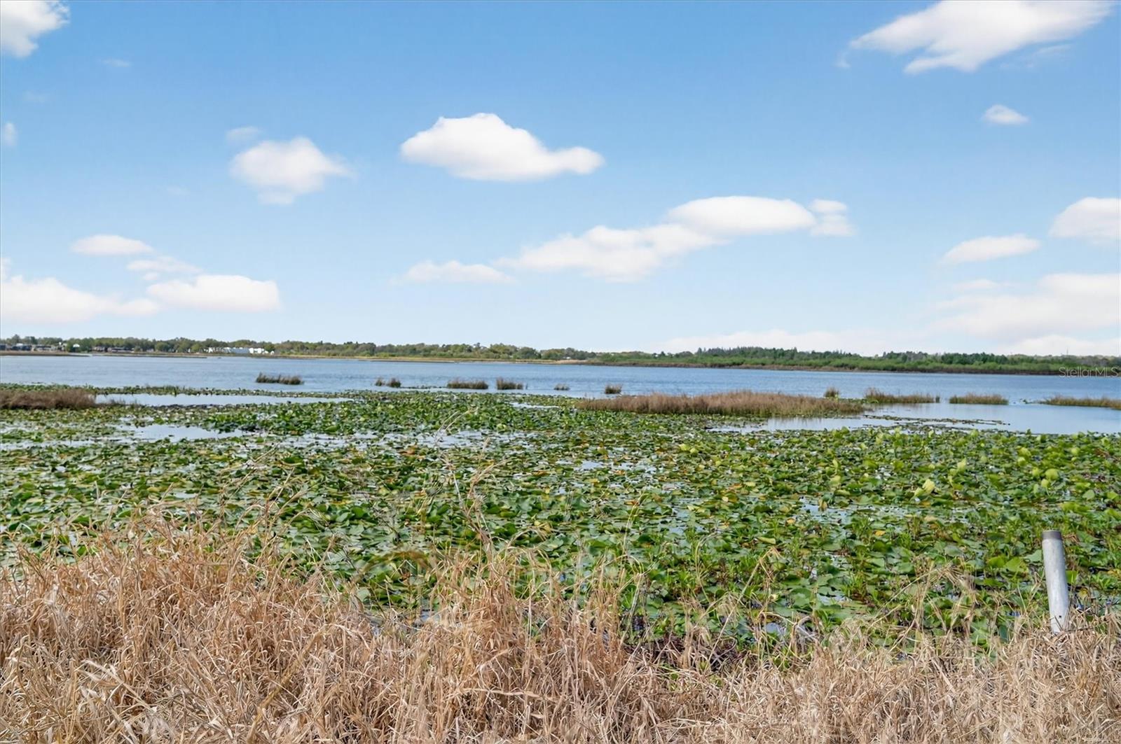 429 LONGFELLOW BOULEVARD